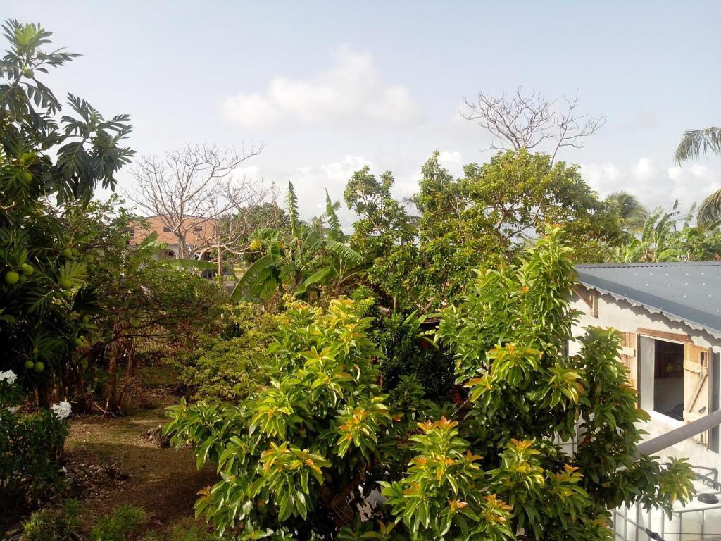 Maison Des Alizes Gros Cap Pokoj fotografie
